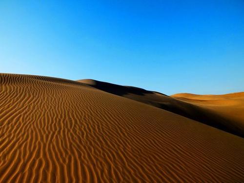 库布齐沙漠游记 四年级草油旅游作文300字