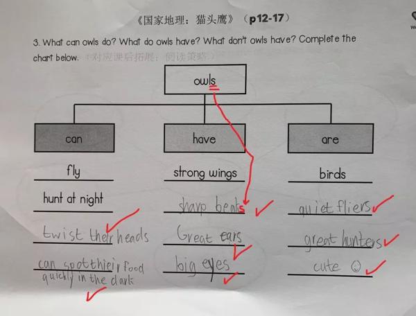 学好思维导图，孩子再也不怕写英语作文啦！ 10