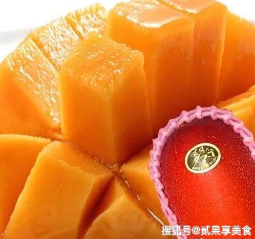 揭秘天价芒果“太阳蛋”，日本是怎么种的，看后感叹万分呀 17