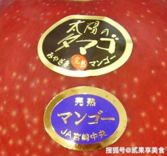 揭秘天价芒果“太阳蛋”，日本是怎么种的，看后感叹万分呀 14