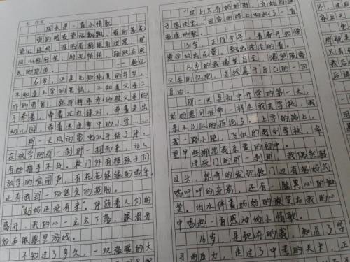 2011北京高考高分作文：谁与争锋_900字
