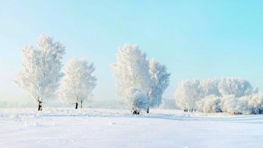 关于冬天的作文：冬天的美丽_800字
