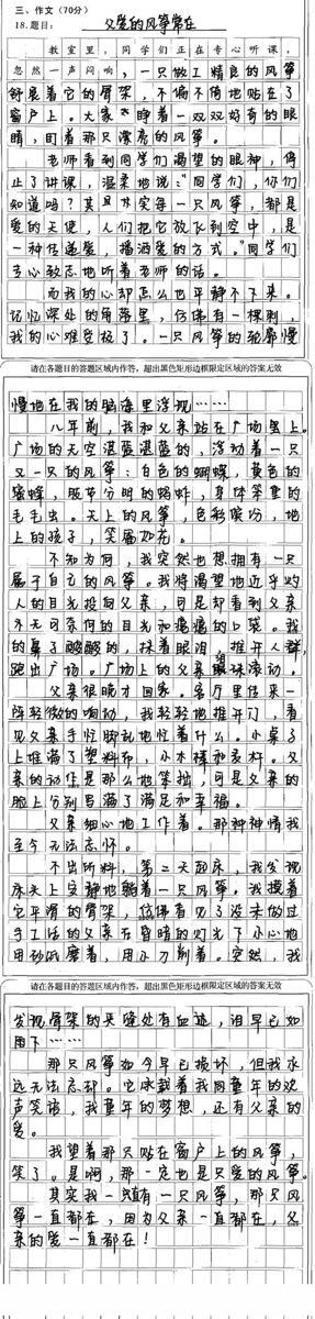 2005年重庆高考满分作文：自嘲_1200字