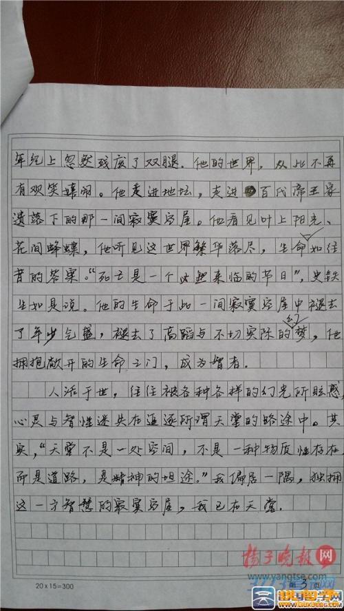 2008江苏高考满分作文：好奇心（六）_1000字