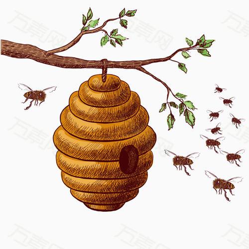 蜂巢在食品业中前瞻论文