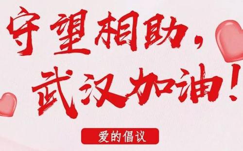 特殊的春节 为武汉加油作文500字