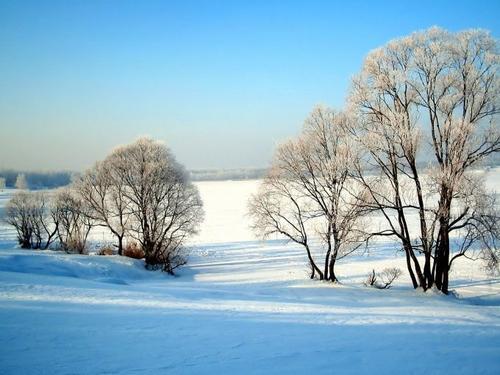有关冬天景物的优美段落