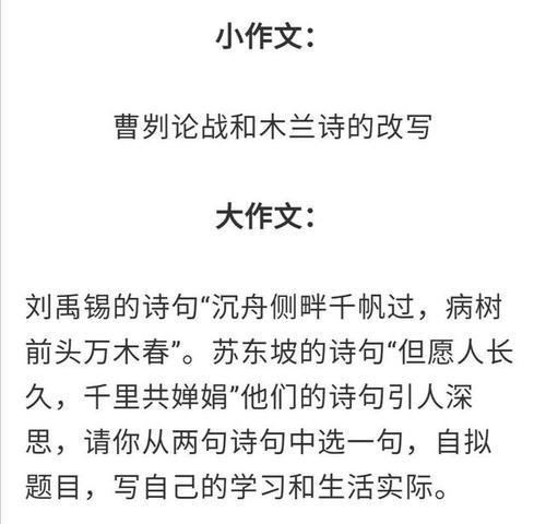 2020云南（统一考试）汉语作文职称：肩