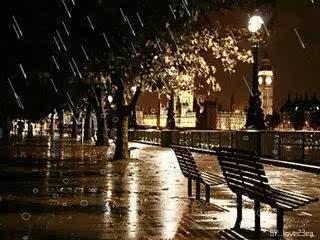 天气描述：一个寂寞的雨夜_1000字