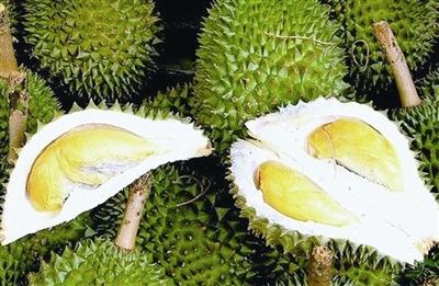 关于水果的成分：水果之王-durian_600字
