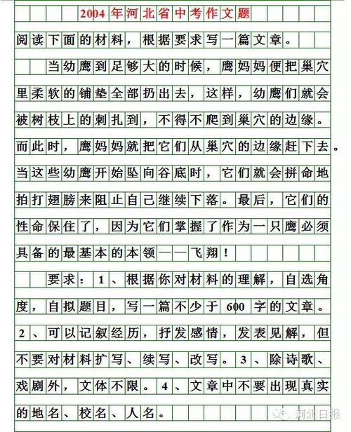 2009北京高考征文样本与评论_2000字