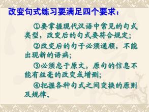 2010年高考汉语句型的选择与转换。