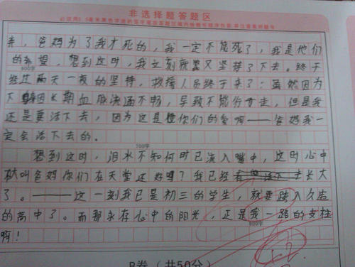 2005高考全场作文（北京卷）：说“安”（6）_700字