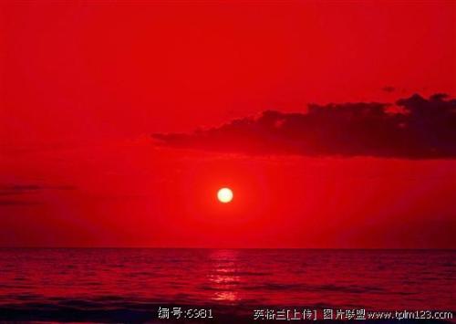 Sunset_350字