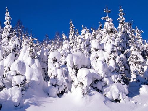 关于雪景的构成：那年冬天，下雪了2000字