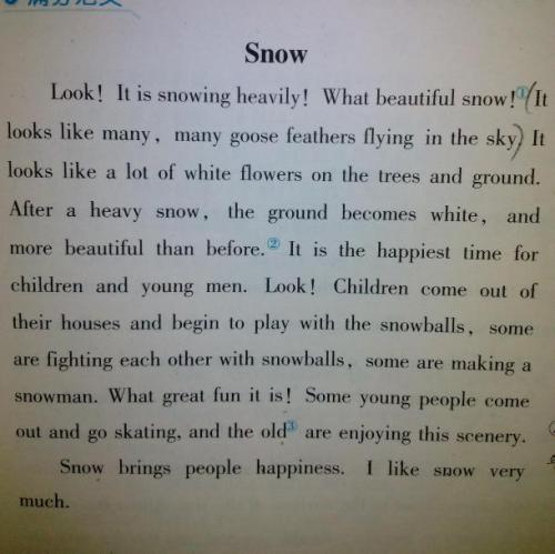 关于雪景的构图：Snow_600个单词