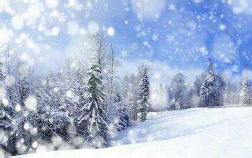 冬季Snow_300字