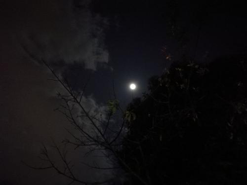 月光漫步