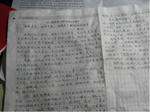 2007河南省高考优秀作文：我摔倒了，我一个人站着_800字