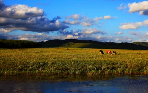 美丽的蒙古草原