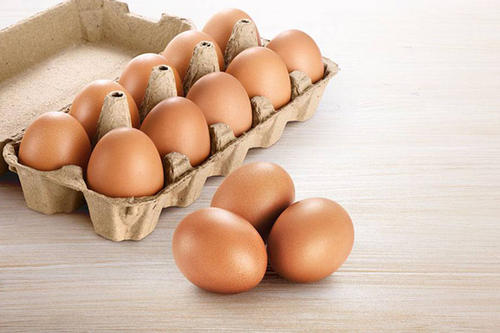 保护鸡蛋