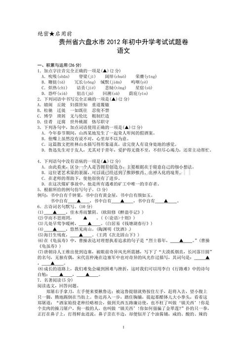 2011年贵州省六盘水市高中语文考试题库