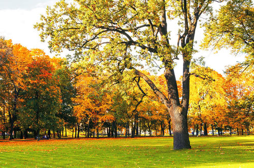 公园迷人的秋天景色