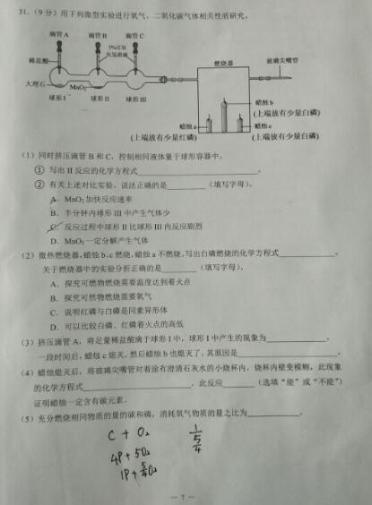 上海市杨浦区中学考试组成作文_800字