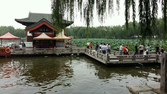 游览大明湖