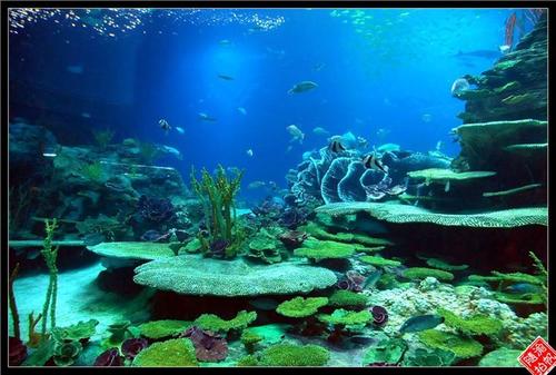 珠海海洋公园一日游