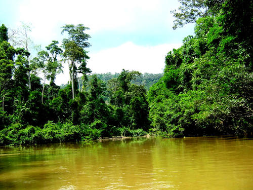 热带雨林冒险
