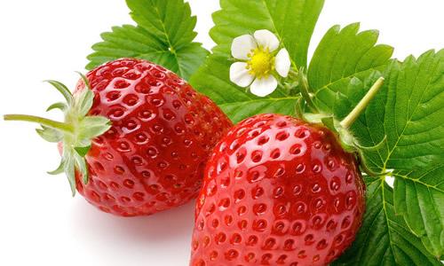 我爱草莓