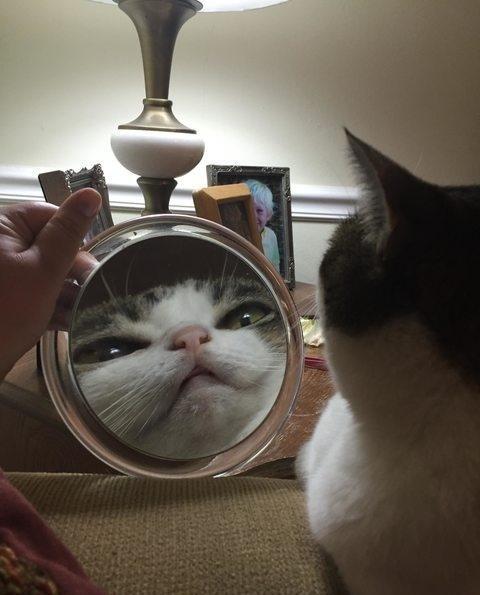 镜子里的我