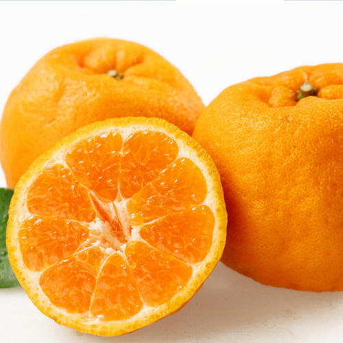 我最喜欢的水果橙