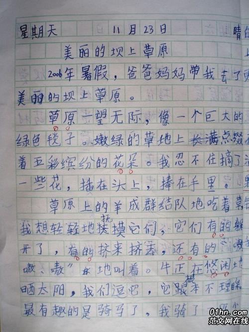 我的中文老师作文600字