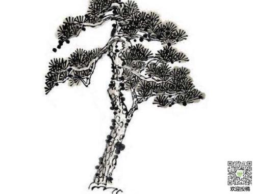 描述性松树