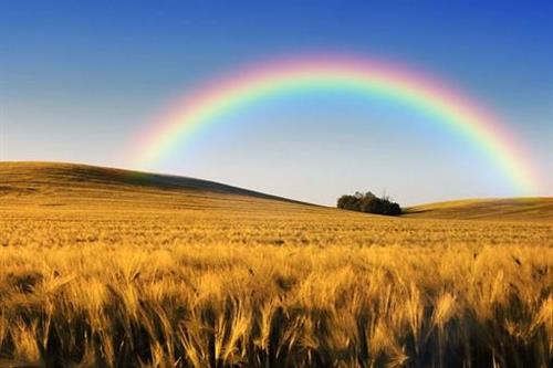 只有风吹雨打才能看到彩虹