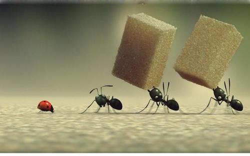 如果我是一只蚂蚁