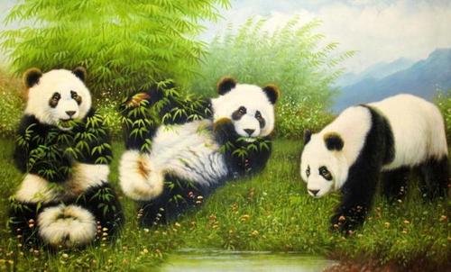 我最喜欢的熊猫