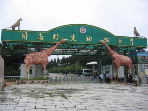 游览济南野生动物园