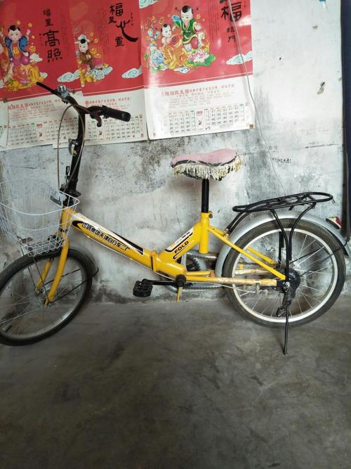 我的新自行车