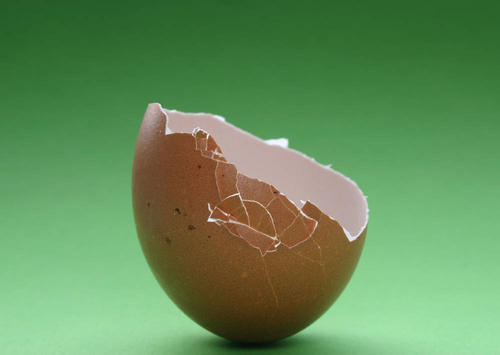 蛋壳破