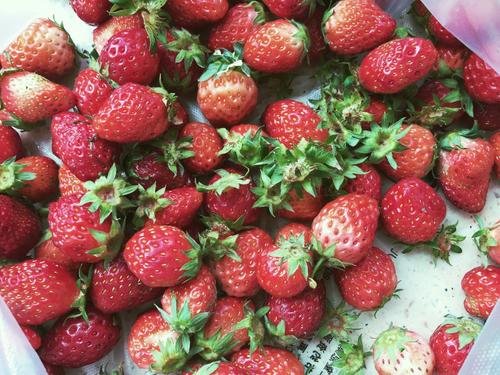 买草莓