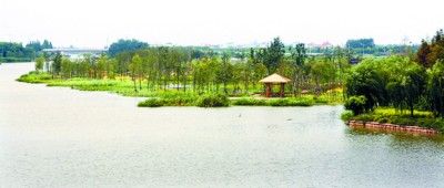 秀河生态保护湿地