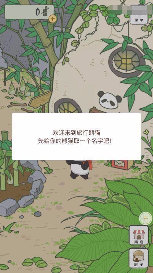 熊猫的旅程