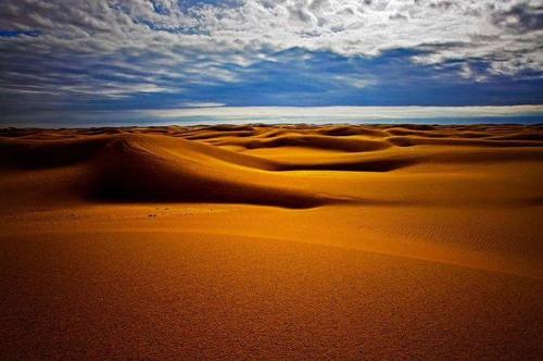 腾格里沙漠中难忘的生态之旅