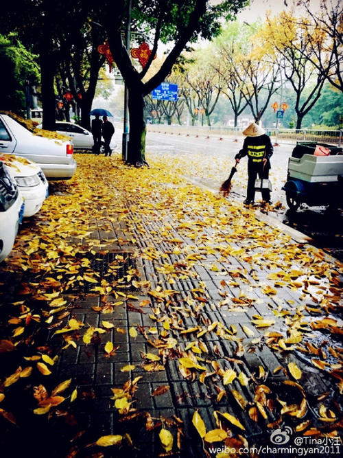 落叶在路上