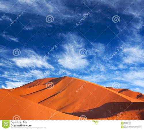 我想去撒哈拉沙漠