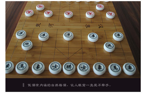 有趣的国际象棋游戏