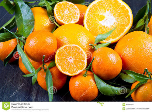 我眼中的橘子